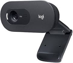 CAMERA LOGITECH C505E HD BUSINESS